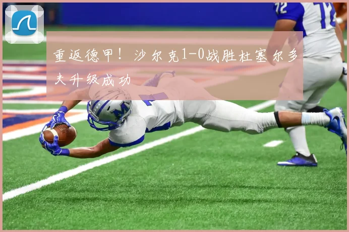 重返德甲！沙尔克1-0战胜杜塞尔多夫升级成功